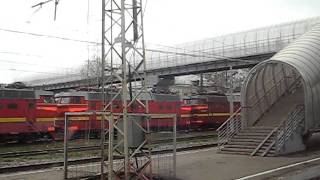 [RZD] ЭВС1-06 "Сапсан" (ст. Бологое)