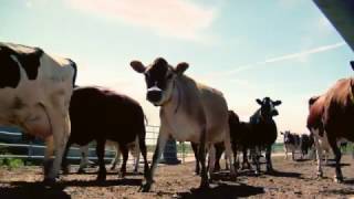 Naturbruk.nu – Naturbruksprogrammet Lantbruk, reklamfilm