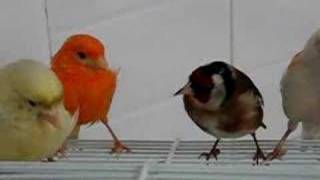 Reunion de vecinos