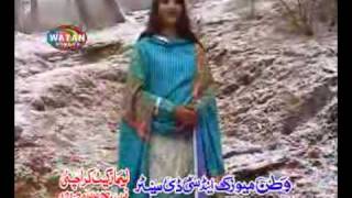 Punjabi Hindko Song - Chitta Chitta Chola - Afshan Zebi