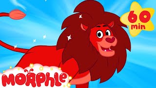 My Pet Lion (+1 hour Morphle kids videos compilation with animals)