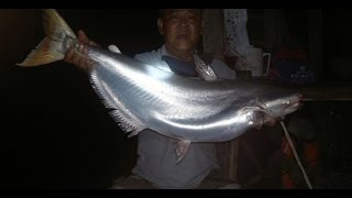 Câu Cá Bông Lau - Hugo Khủng Bông Lau tại Cửa Đại - Tân Phú Đông của Cường5x Ngày 05/03/2015