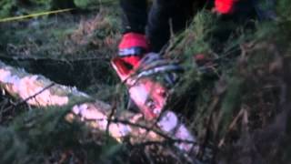 Jonsered Chain Saws