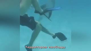 ДЕЛЬФИН, ДЕЛЬФИН ПРИСТАЕТ, ДЕВКА В ШОКЕ, В БАССЕЕНЕ