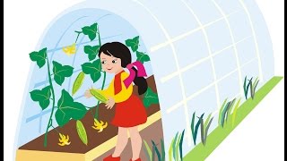 Как построить теплицу своими руками? Теплица из поликарбоната