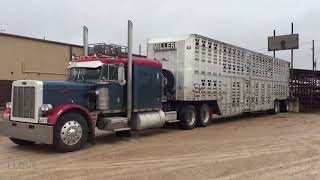 Rusty Miller 359 Peterbilt