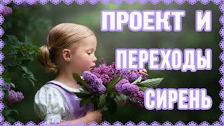 Бесплатный проект Сирень + переходы Proshow Producer