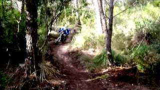 dh mallorca puigpunyent!
