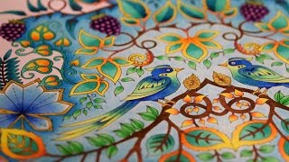 Johanna Basford - Enchanted Forest - How to color - Birds Paradise