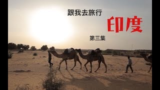 《跟我去旅行—印度篇》EP3. 穿越沙漠 骑骆驼菜鸟崩溃大哭 | Crazy Adventures with Kyle