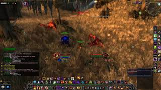 Classic WoW - Warlock Voidwalker Test - Torment rank 3