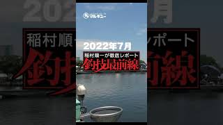 第123回釣技最前線 #Shorts #マルキユー #芯華 #両ダンゴ