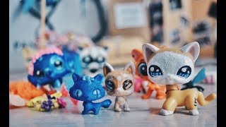 LPS: Распаковка посылки l  СТОЯЧАЯ КОШКА l ООАК