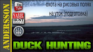 Ộхота на утку-подготовка к вечерке►на рисовых полях