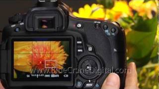 Introduction to the Canon 60D: Basic Controls