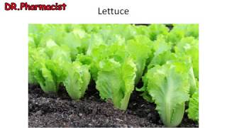 Benefits of Lettuce