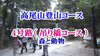 高尾山登山コース 4号路（ 吊り橋コース ）