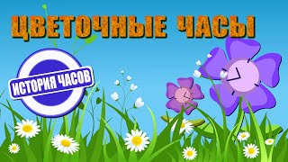Цветочные часы. Познавательная лекция для детей