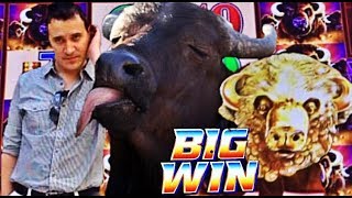 ? BUFFALO LOVES ME! ?  BUFFALO GOLD slot machine SUPER BIG WINS!