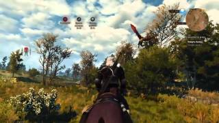 The Witcher 3 Меч Гинваэль Аэдд и Вилохвост (На смерть)