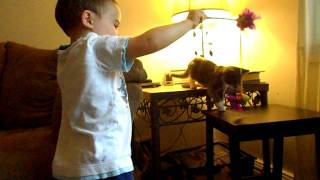 Mason and Tomcat 1