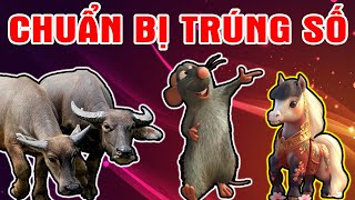 Từ Nay Đến Rằm Tháng 6 Âm, 3 Con Giáp Trúng Đậm Càng Làm Càng Giàu, Tiền Về Tới Tấp