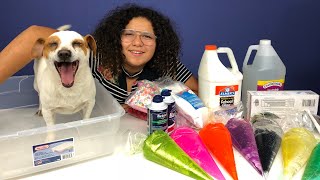 MY DOG PICKS MY SLIME INGREDIENTS