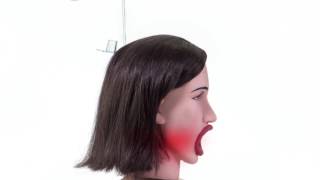 Pipedream Extreme Toyz Hot Water Face Fucker