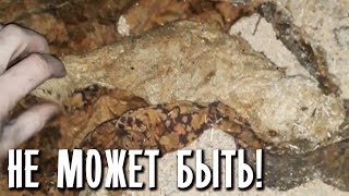 ОБАЛДЕЛ ОТ ТОГО ЧТО БЫЛО В СВЁРТКЕ !!!