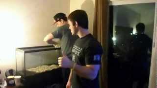 Sanding the Tank