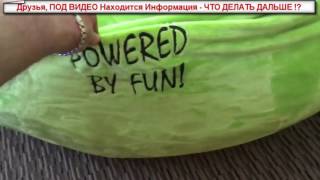 GLN, Новый Офис Компании Game Loot Network