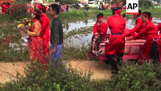 Calls to end annual pig slaughter festival
