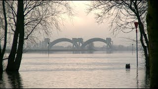 Hoog water in de uiterwaarden