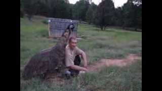 EMU Love Dance