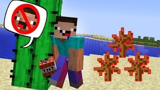НУБ ТРОЛЛИТ В НЕВИДИМКЕ НУБИКА В МАЙНКРАФТ! СМЕШНОЙ ТРОЛЛИНГ В MINECRAFT! МУЛЬТИК ДЛЯ ДЕТЕЙ 11!