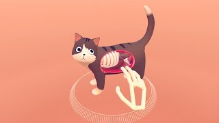 Cat Explorer