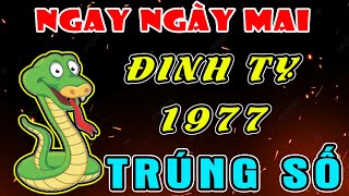 Tổ Tiên Báo Mộng Tuổi ĐINH TỴ 1977 Ngay Ngày Mai TRÚNG SỐ ĐỘC ĐẮC, 100 TỶ Về Tay, TRẢ SẠCH NỢ NẦN
