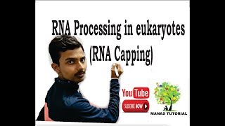 RNA Processing in eukaryotes (Capping)