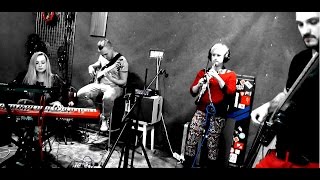Organic Noises - Erghen Diado