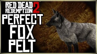 HOW TO GET A PERFECT FOX PELT - RED DEAD REDEMPTION 2 PRISTINE FOX HUNT