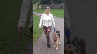 HSP: How I walk my dog. (Not a service dog)