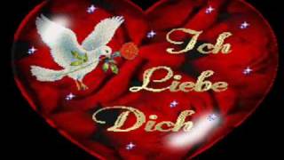 ich hab mein herz an dich verloren