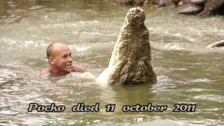 Costa Rica, The Famous Costa Rica Crocodile Pocho died 11 october 2011 in Siquirres
