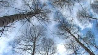ory sona - svecha