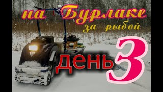 РЫБА КЛЮЕТ! ЖЕРЛИЦЫ ГОРЯТ! 3- ий день на рыбалке...