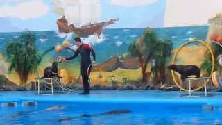 Дельфинарий в Ереване