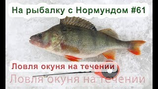 Ловля окуня на течении со льда. На рыбалку с Нормундом #61
