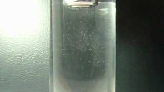 Кавитация 17mm, High, 1~10Hz
