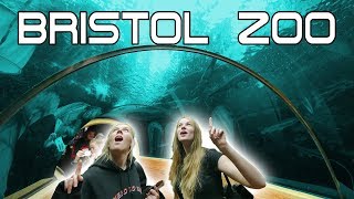 Day at Bristol Zoo England