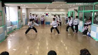 금태회금메달 공개심사 태권도시범